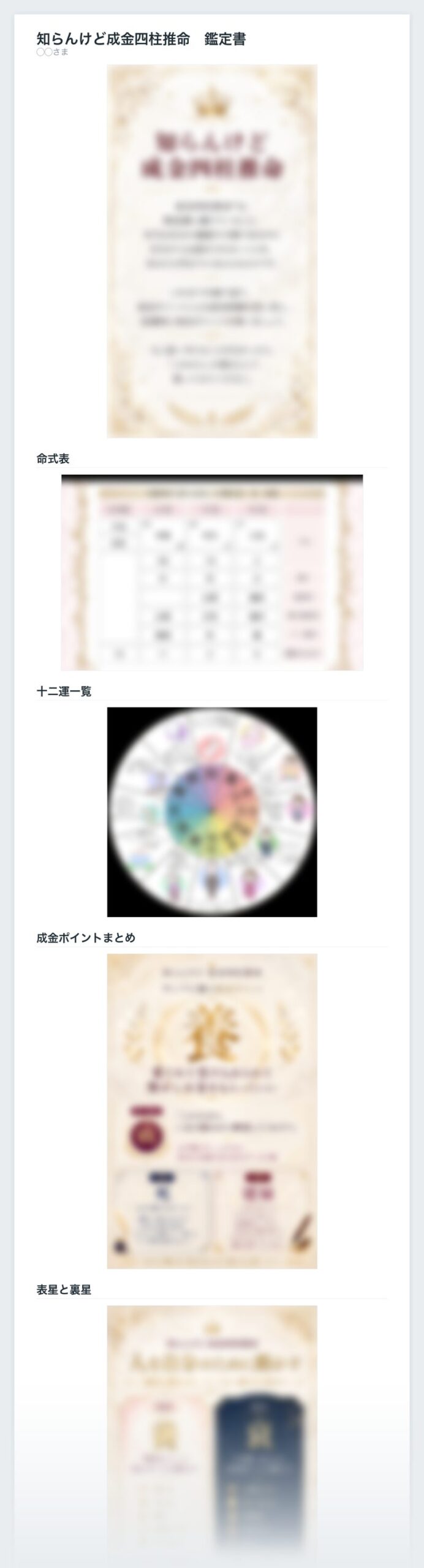 Notionの鑑定書のイメージ。命式表や成金ポイントまとめなどのカードが並び、中身はぼかしてある